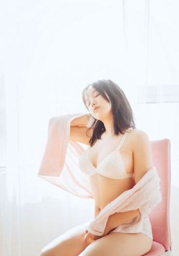 执法者们