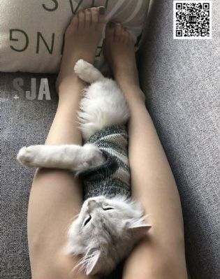 特别任务电影免费观看