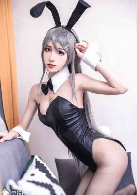 h片动漫在线观看
