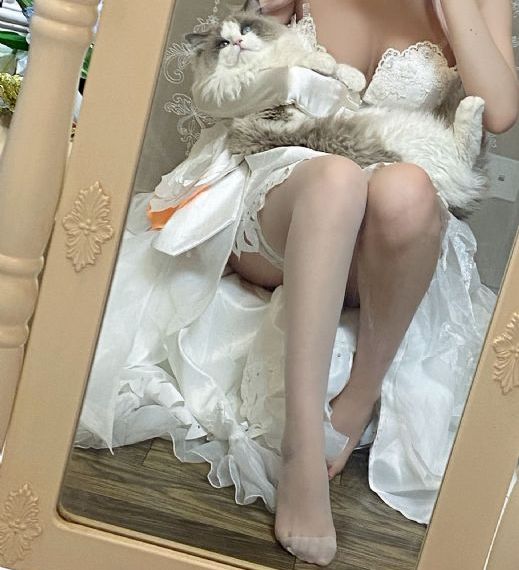花园墙外