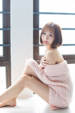 旧爱新欢