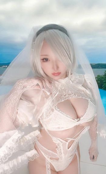 理论片免费看