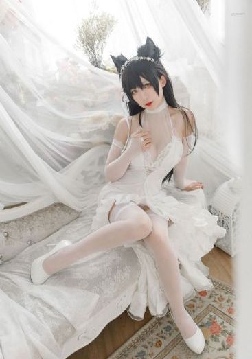 沧浪之水电视剧