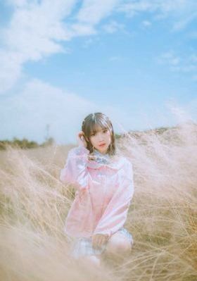 赘婿2电视剧在线观看免费完整版