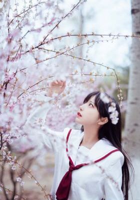 电视剧兄弟兄弟