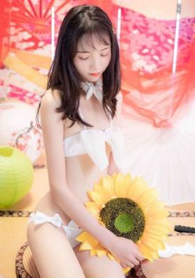 丛林法则免费观看完整版