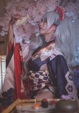 侠女闯天关 电视剧